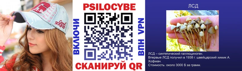 Галлюциногенные грибы Psilocybe  Артёмовск 